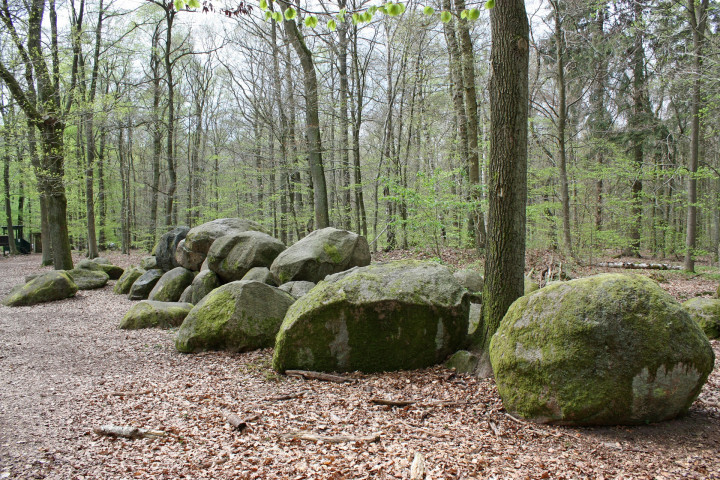 Naturbelassener Friedwald